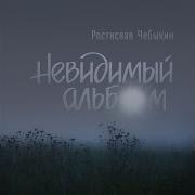Ростислав Чебыкин Капибара