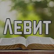 Левит Валентин Климентев