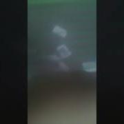 Приключения Вида В Останкино 4