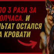 Рассказы Про Секс С Собакой