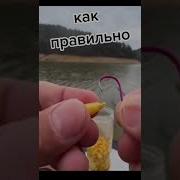 Как Поймать Клиента На Крючом