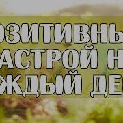 Позитивный Настрой На Каждый День
