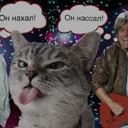 Modern Talking Он Нахал Он Нассал