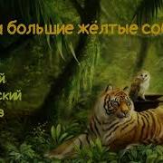 Час Твоего Рассказа Мегги