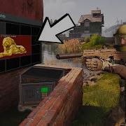 Arena Breakout Infinite Арена Брекаут Ферма