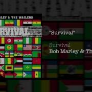 Survival Reggae Bobmarley