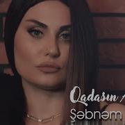 Qadasin Alarm
