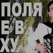 Вячеслав Абросимов Тополя