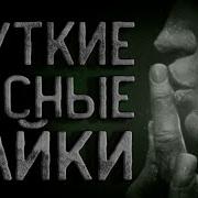 Страшные Истории От Смс