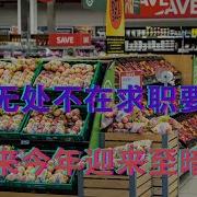 骗子无处不在求职要当心 胖东来今年迎来至暗时刻