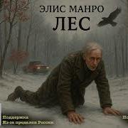 Книга Лес