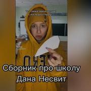 Сборник Дана Несвит