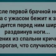 После Брачной Ночи Невеста Сошла С Ума Сборник Свежих Анекдотов Юмор