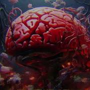 Felix Kruell Scuro Black Patrick Scuro Brain On X