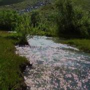 Pamir Music Tajikistan Памирцы Таджикистан