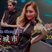 云菲菲 伤心城市Dj