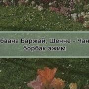Тыва Ырылар Борбаана Баржай