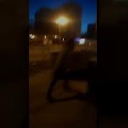 Тикай С