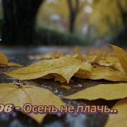 Кружатся Желтые Листья Будто Обрывки Страниц