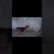 Ты Как Сказочный Сон