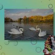 Христианская Песня На Украинском