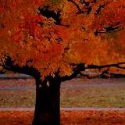 The Best Of Antonio Vivaldi