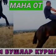 Kupkari Qashqadaryo Yakkabog Guldara Qishlogi 1 Qism
