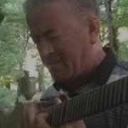 Elman Sadiqov Tar Toy