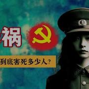 文婷Wenting 中共历次运动