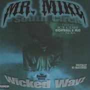 Mr Mike Gangsta Boogie