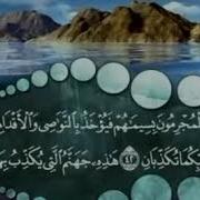 المنشاوي ترتيل