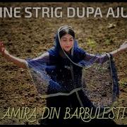 Strig Dupa Ajutor