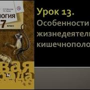 Биология 7 Класс 13