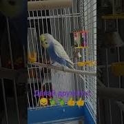 Стой Стой Не Уходи