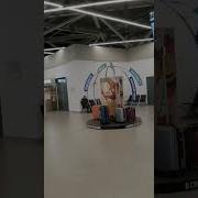 Информатор Аэропорта Нижний Новгород Тобольск