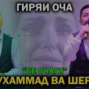 Ой Ин Беди Баланд Шох Кош Хам Задаги