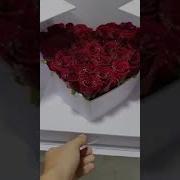 Maftuna Tugulgan Kuning Bilan
