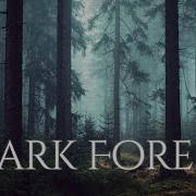 Ambience And Music Sounds Of Dark Misty Forest With Ambient