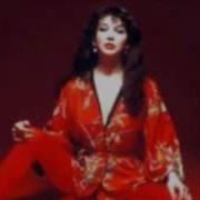 Daveinprogress3 Kate Bush