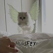 Шахеризада Speed Up