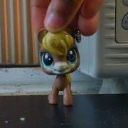Lps I Can T Wait To Go To School Meme