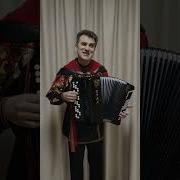 Частушки Баянист