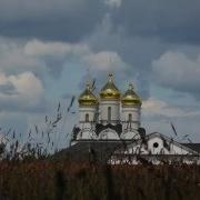 Куры Рябы Стрельченко