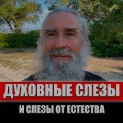 Че Такая Тишина