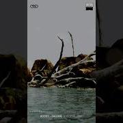 Bodey Falling Original Mix