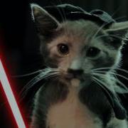 Star Wars Fighter Vs Attack Cat