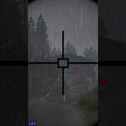 Dayz