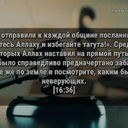 Абу Сайфуллах1 Аш Шишани