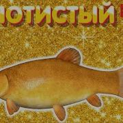 Эмбер Напугала Друзей До Синяков