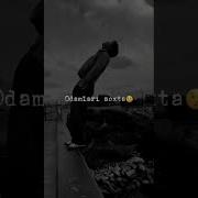 Odamlar Soxta Dunyo